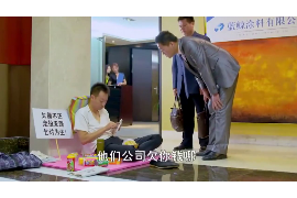 平原融资清欠服务